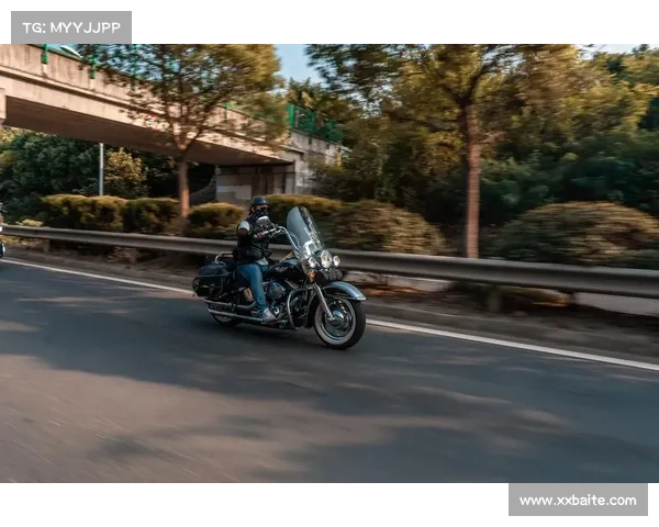 为了冬季摩旅,这位哈雷骑行官用8个月改装街滑,你猜花费多少